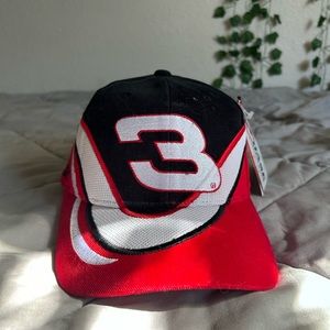 Vintage Dale Earnhardt Hat